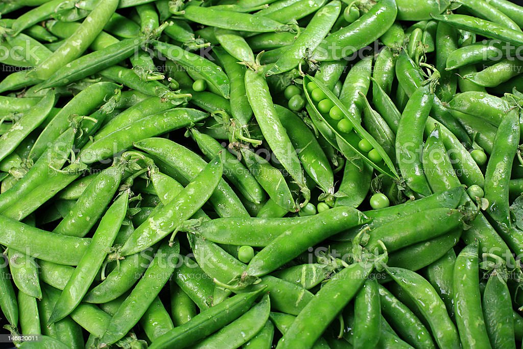 Detail Kacang Polong Hijau Nomer 44
