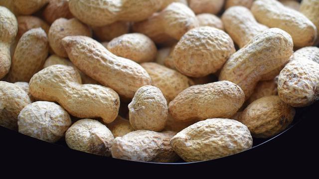 Detail Kacang Tanah Serta Manfaatnyagambarkeunggulannya Nomer 2