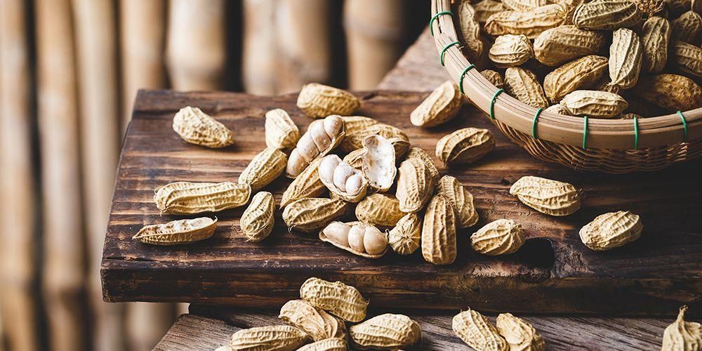 Detail Kacang Tanah Serta Manfaatnyagambarkeunggulannya Nomer 15