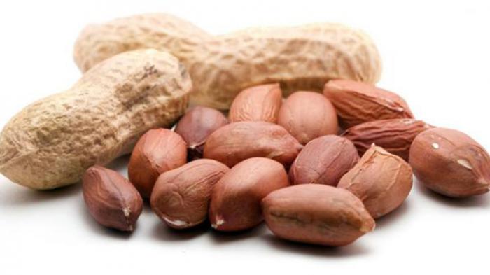 Detail Kacang Tanah Serta Manfaatnyagambarkeunggulannya Nomer 24