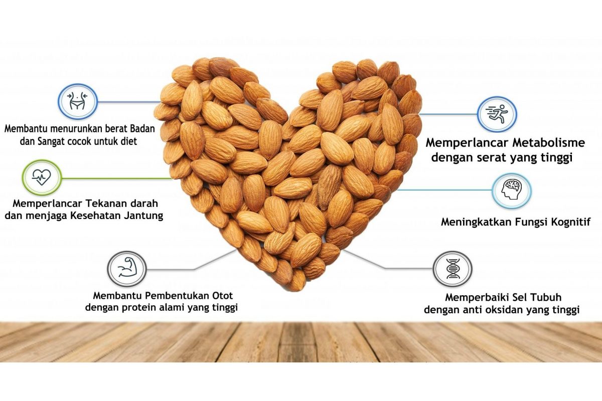 Detail Kacang Tanah Serta Manfaatnyagambarkeunggulannya Nomer 26
