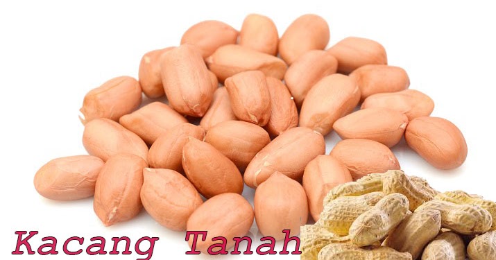Detail Kacang Tanah Serta Manfaatnyagambarkeunggulannya Nomer 30