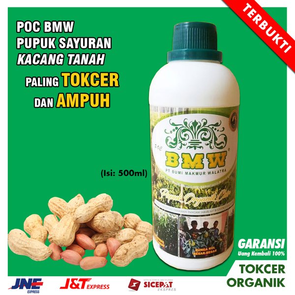 Detail Kacang Tanah Serta Manfaatnyagambarkeunggulannya Nomer 31