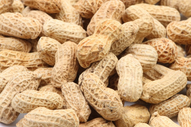 Detail Kacang Tanah Serta Manfaatnyagambarkeunggulannya Nomer 32