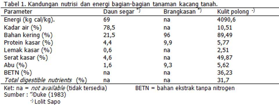 Detail Kacang Tanah Serta Manfaatnyagambarkeunggulannya Nomer 37