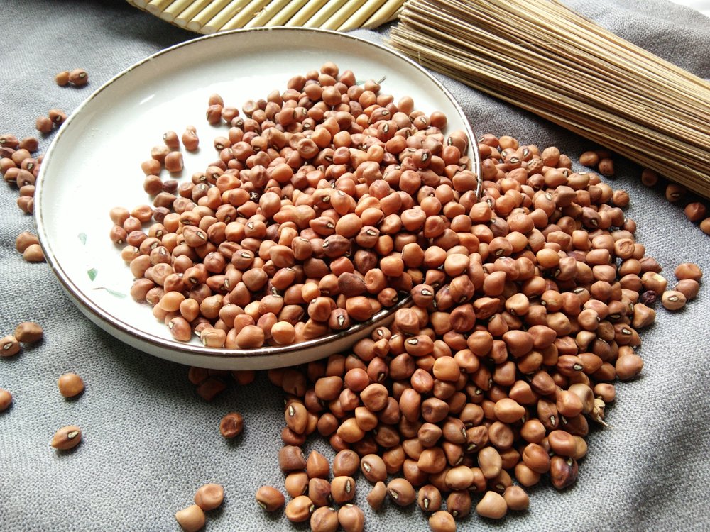 Detail Kacang Tanah Serta Manfaatnyagambarkeunggulannya Nomer 44