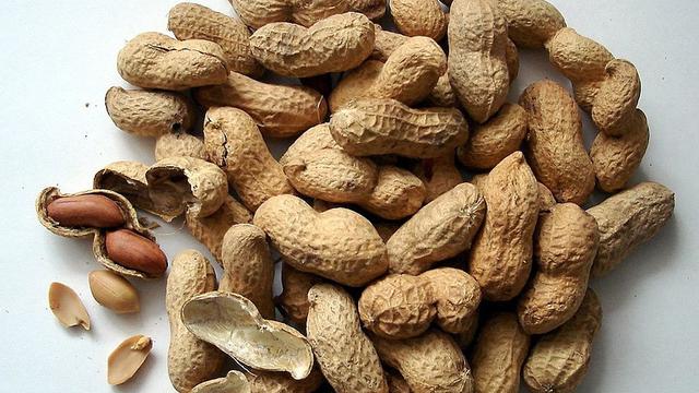 Detail Kacang Tanah Serta Manfaatnyagambarkeunggulannya Nomer 5