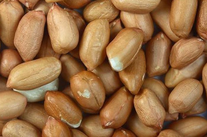 Detail Kacang Tanah Serta Manfaatnyagambarkeunggulannya Nomer 47