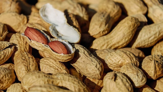 Detail Kacang Tanah Serta Manfaatnyagambarkeunggulannya Nomer 49