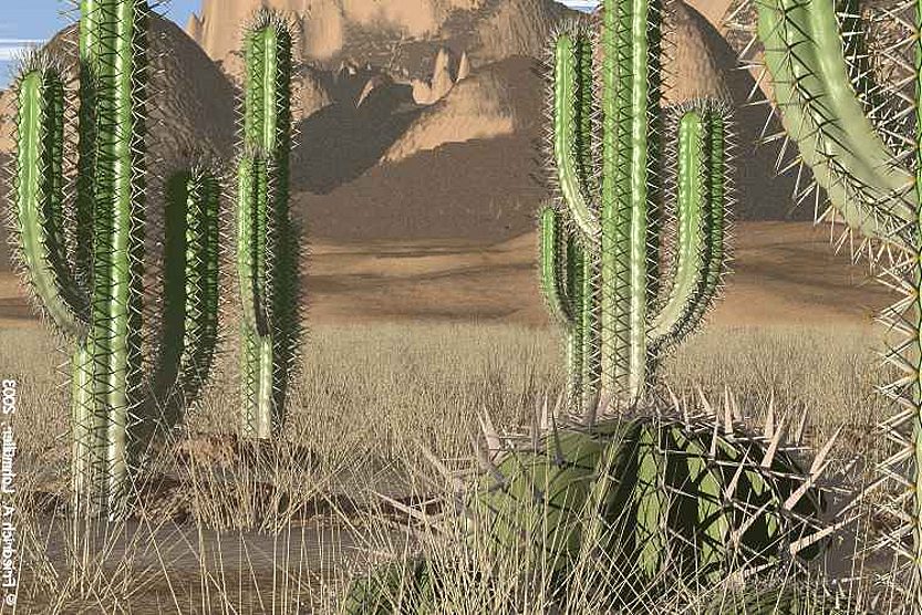 Detail Kaktus Di Gurun Nomer 16
