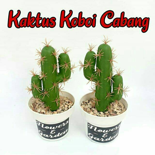 Detail Kaktus Koboi Cabang Nomer 4