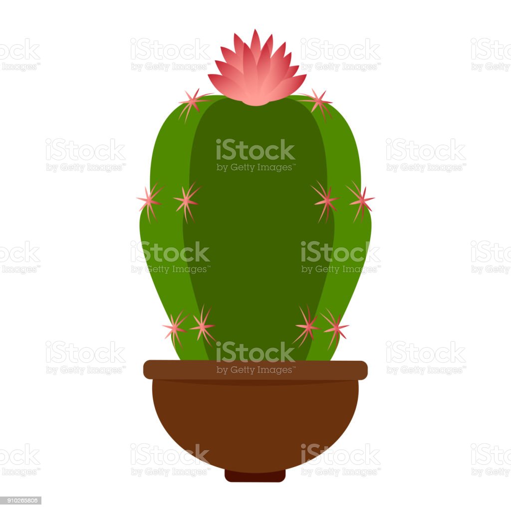 Detail Kaktus Lucu Nomer 58
