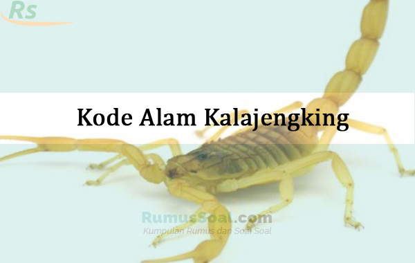 Detail Kalajengking Hitam Masuk Rumah Nomer 41