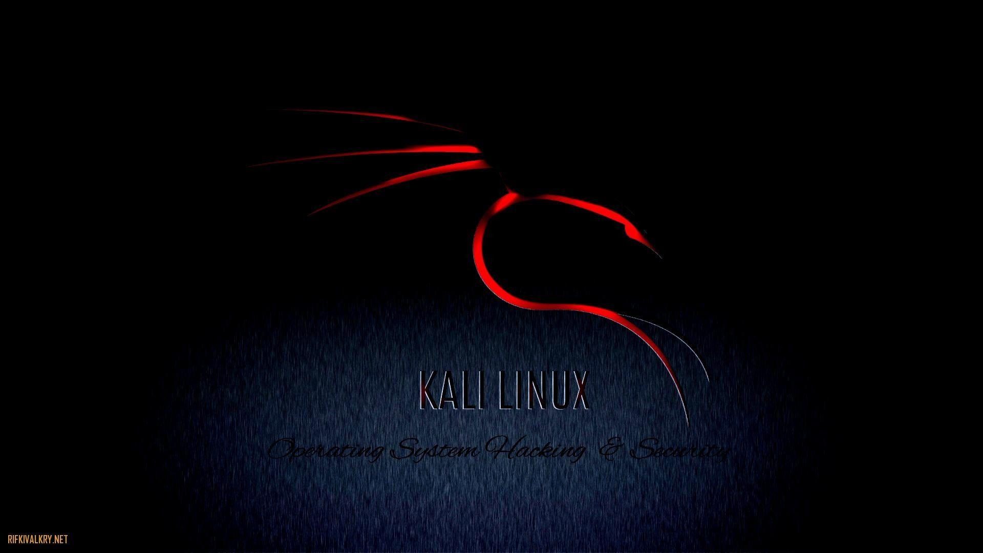 Detail Kali Linux Wallpaper 1920x1080 Nomer 6