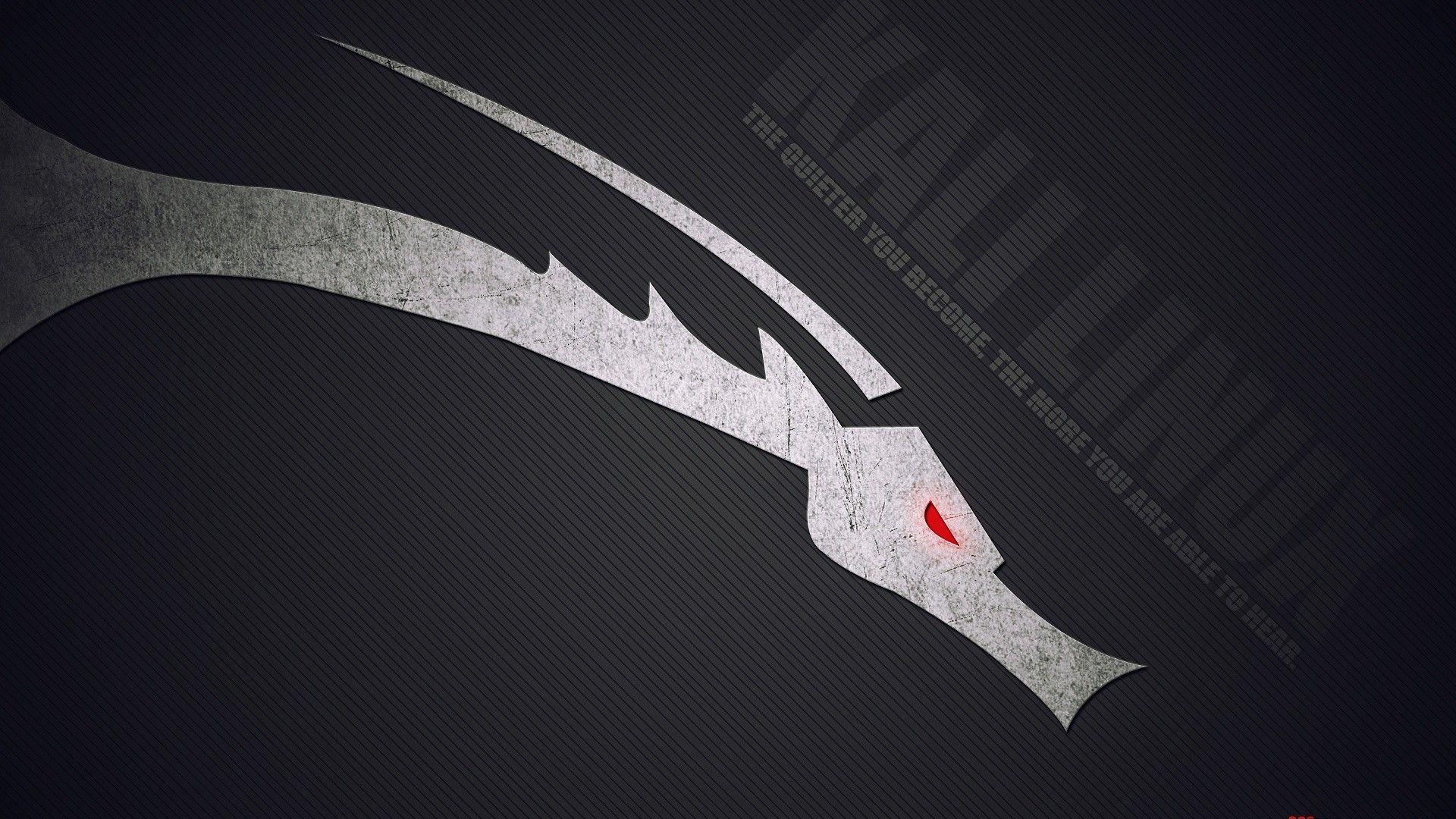 Detail Kali Linux Wallpaper Nomer 21