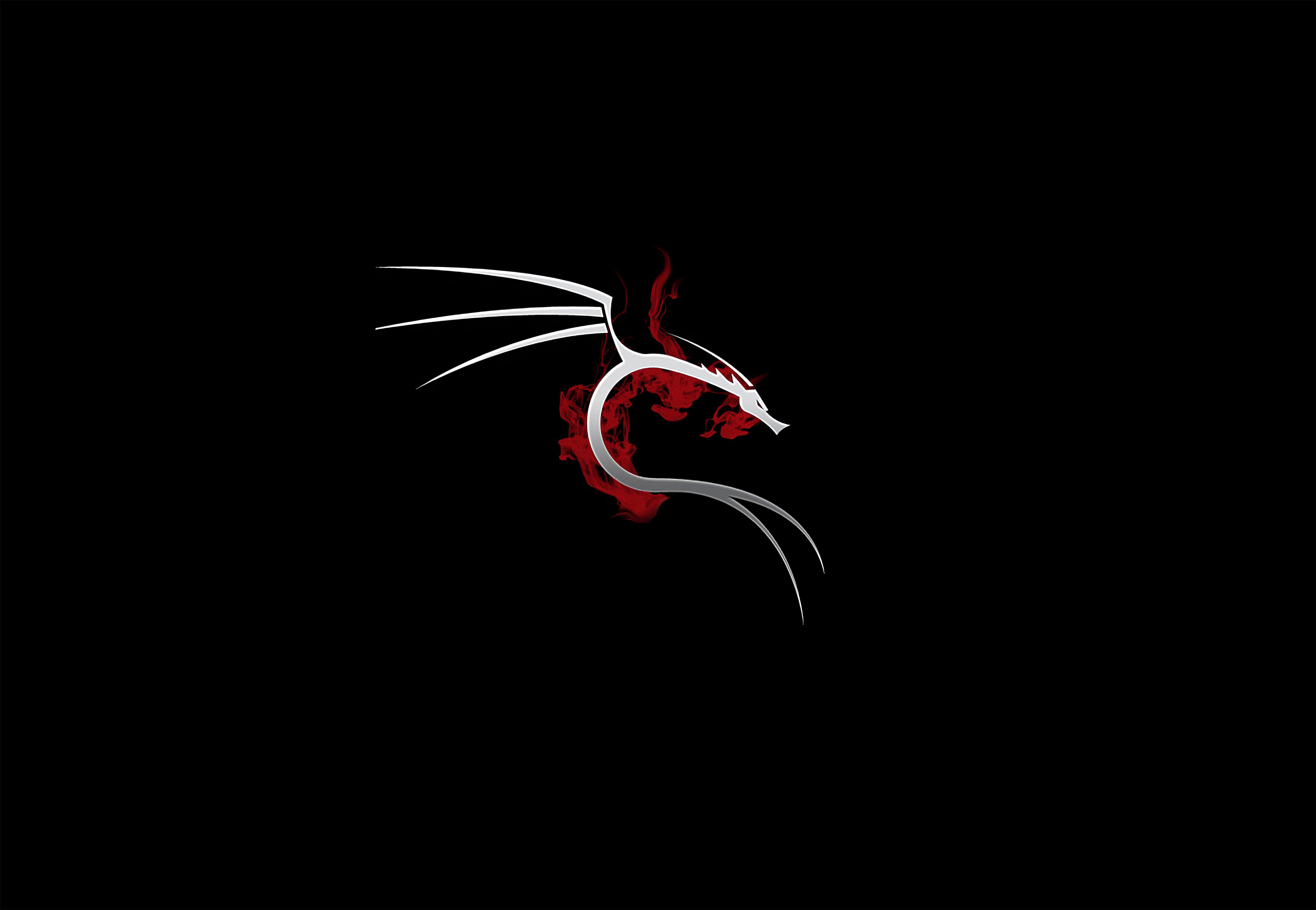 Kali Linux Wallpaper Hd - KibrisPDR