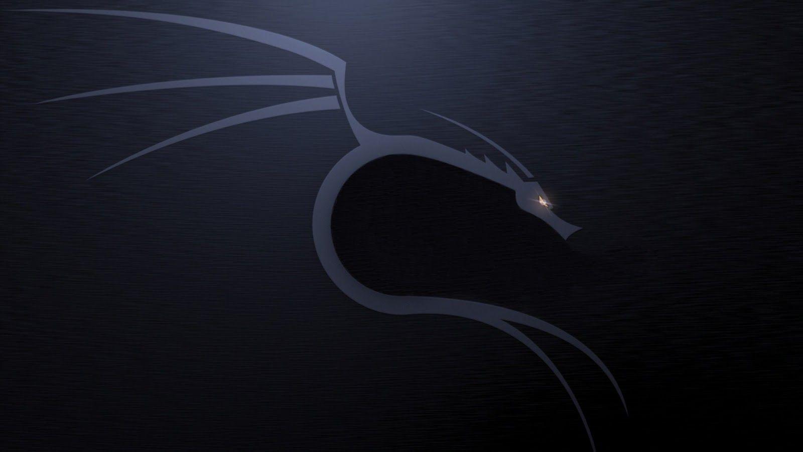 Detail Kali Linux Wallpaper Hd Nomer 5