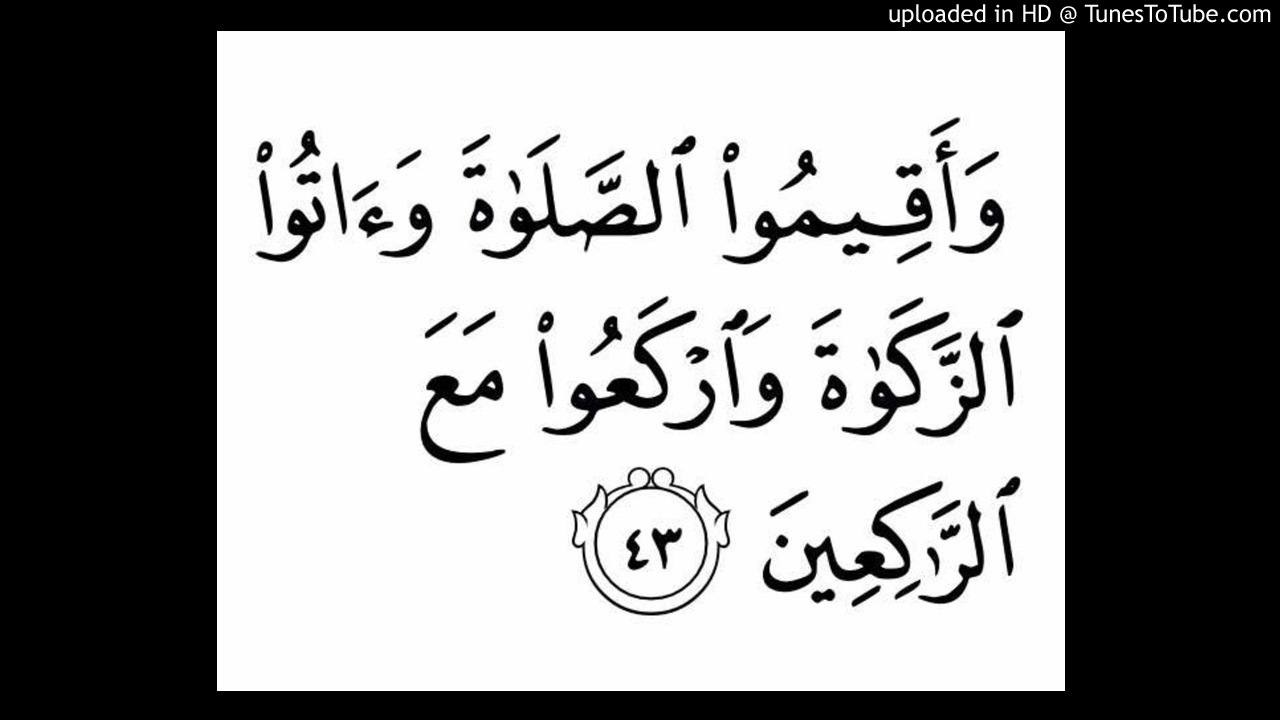 Kaligrafi Al Baqarah Ayat 43 - KibrisPDR