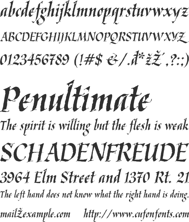 Detail Kaligrafi Latin Font Nomer 17