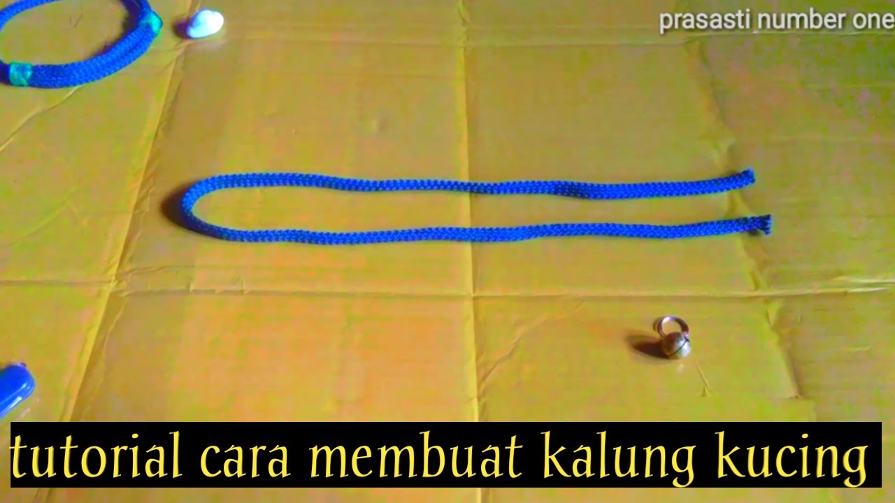 Detail Kalung Kucing Buatan Sendiri Nomer 43