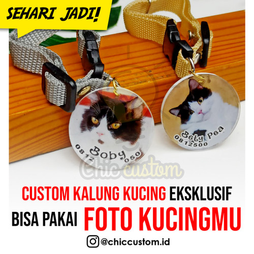 Detail Kalung Kucing Custom Nama Nomer 26