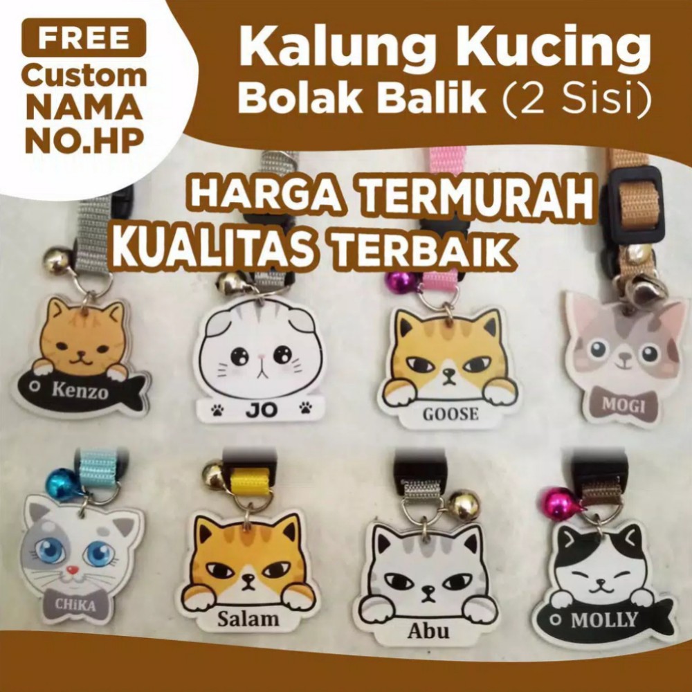 Detail Kalung Kucing Custom Nama Nomer 4