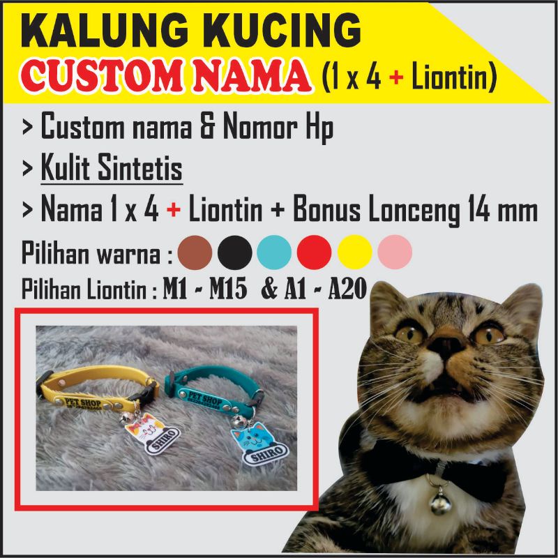 Detail Kalung Kucing Custom Nama Nomer 35