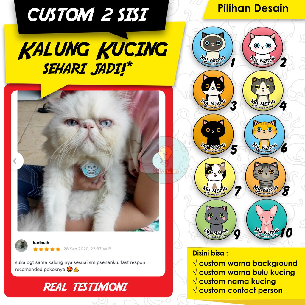 Detail Kalung Kucing Custom Nama Nomer 50
