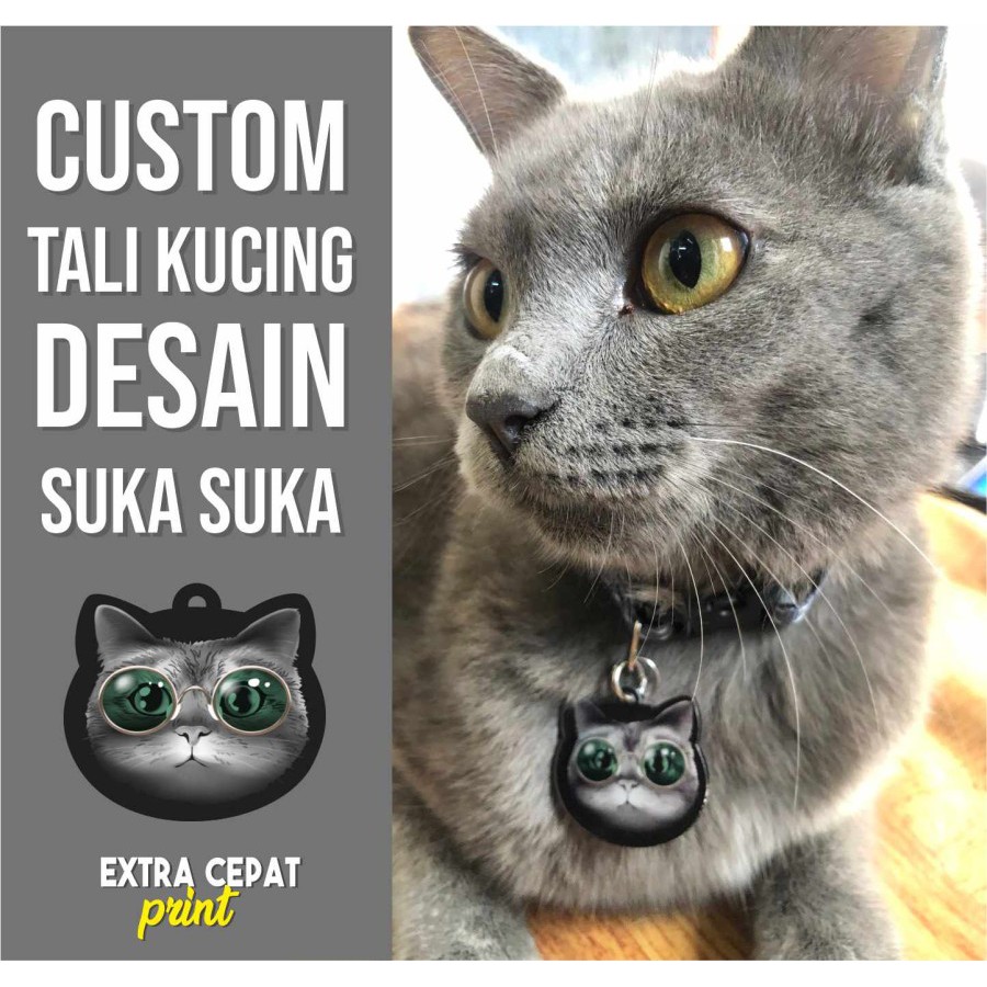 Detail Kalung Kucing Custom Nama Nomer 53