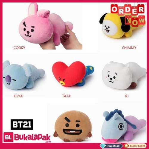 Detail Kamar Bt21 Nomer 43