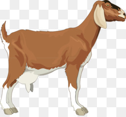 Detail Kambing Animasi Png Nomer 23