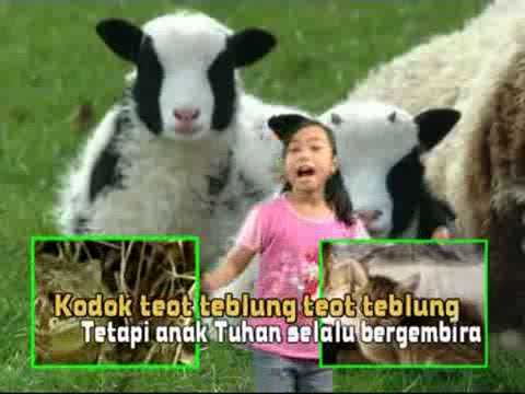 Kambing Embek Embek - KibrisPDR