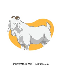 Detail Kambing Etawa Vector Nomer 2