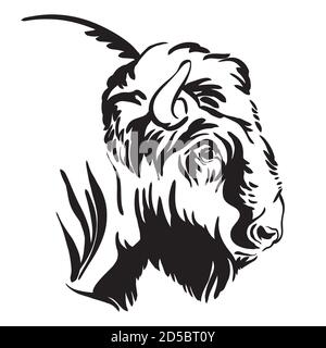 Detail Kambing Etawa Vector Nomer 12