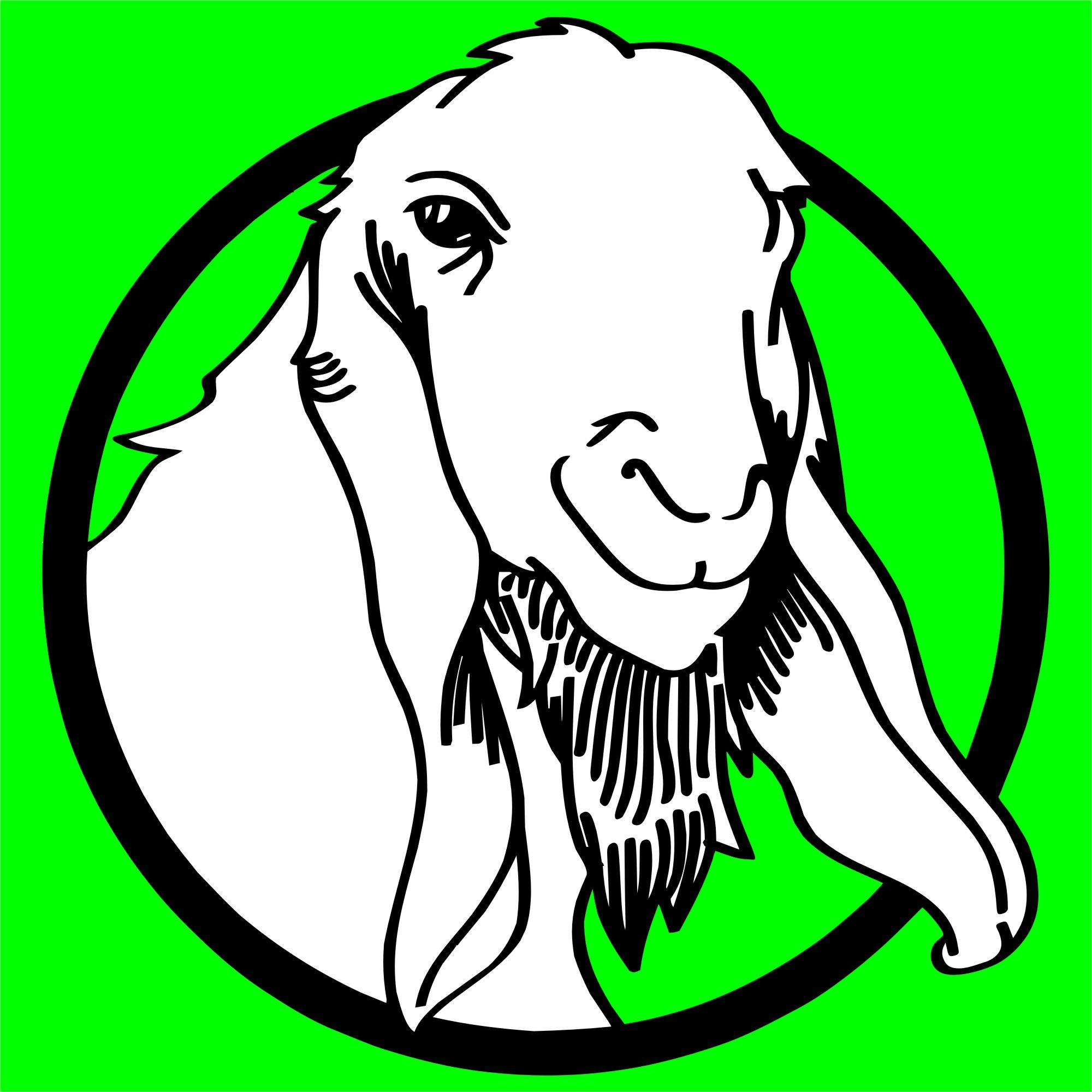 Detail Kambing Etawa Vector Nomer 16