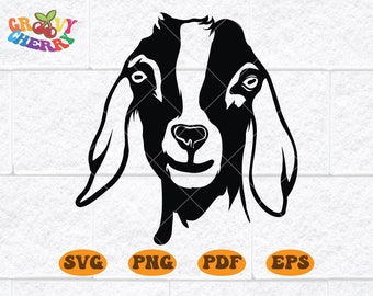 Detail Kambing Etawa Vector Nomer 21