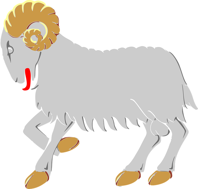 Detail Kambing Etawa Vector Nomer 30