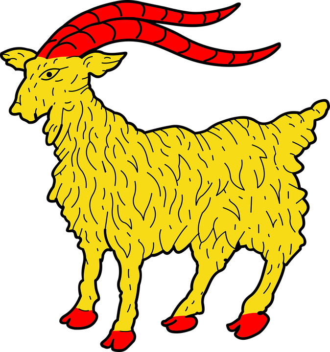Detail Kambing Etawa Vector Nomer 34