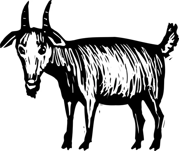 Detail Kambing Etawa Vector Nomer 54