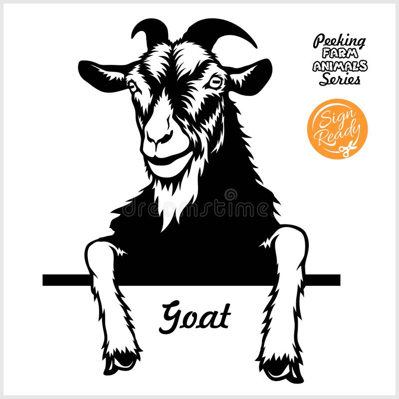 Detail Kambing Etawa Vector Nomer 8