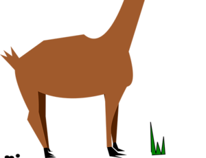 Detail Kambing Jawa Png Nomer 18