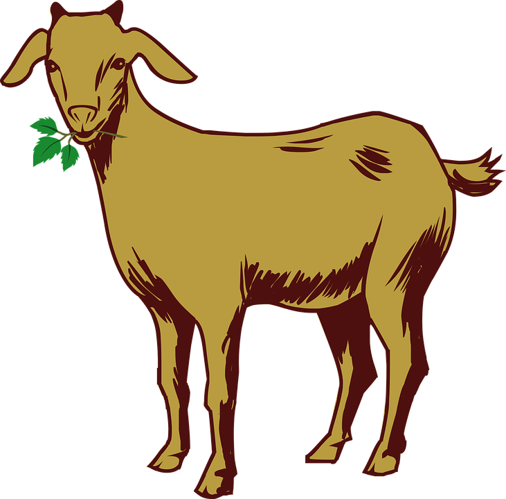 Kambing Png Vector - KibrisPDR