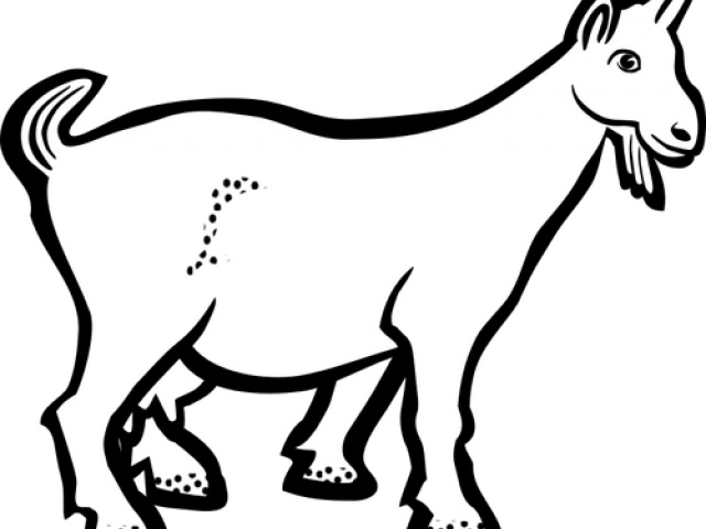 Detail Kambing Png Vector Nomer 14