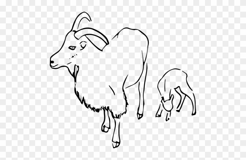Detail Kambing Png Vector Nomer 15