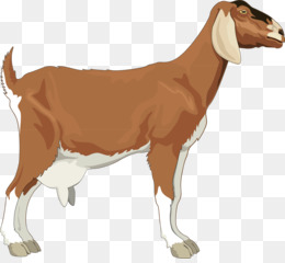 Detail Kambing Png Vector Nomer 19