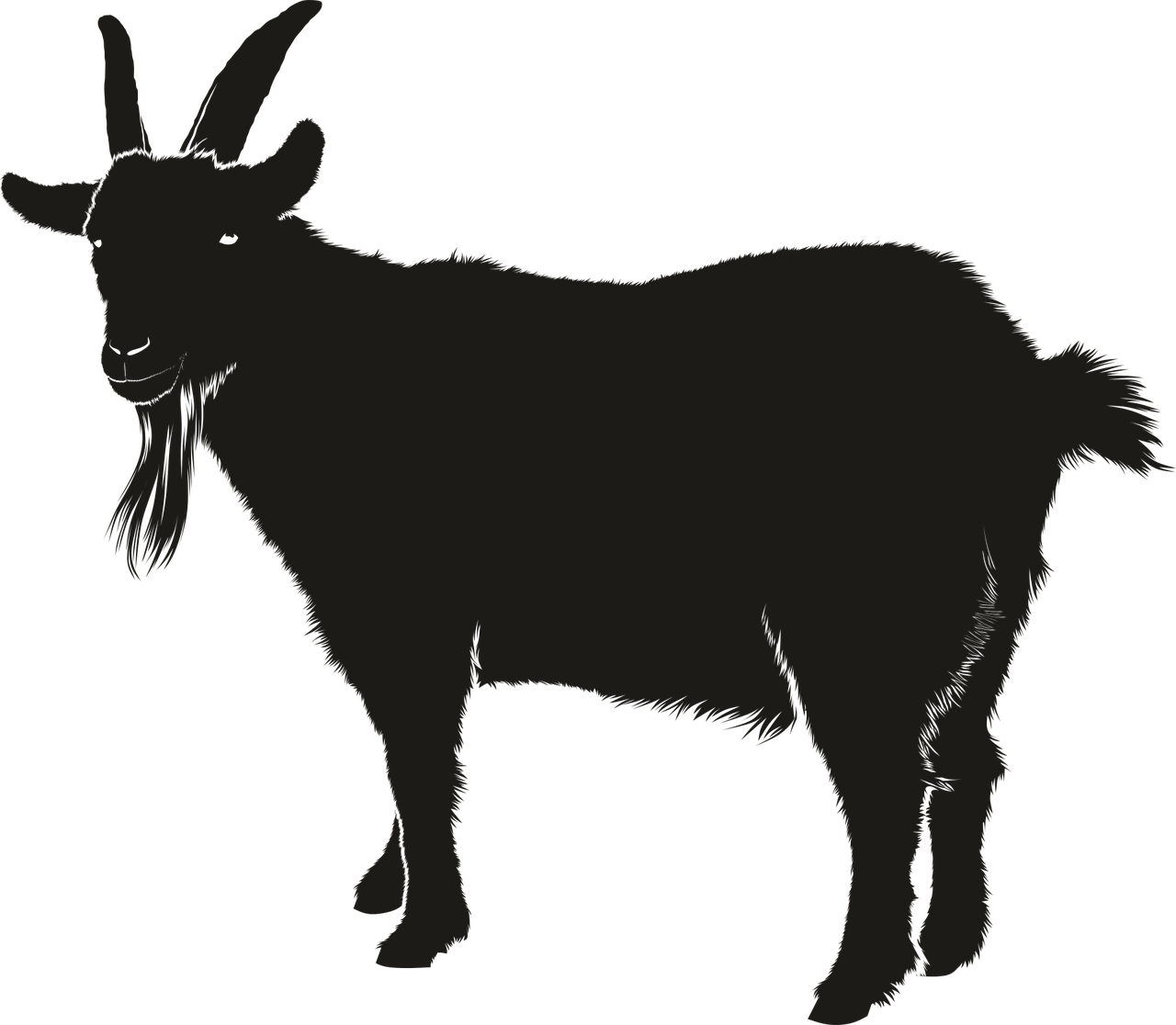 Detail Kambing Png Vector Nomer 4
