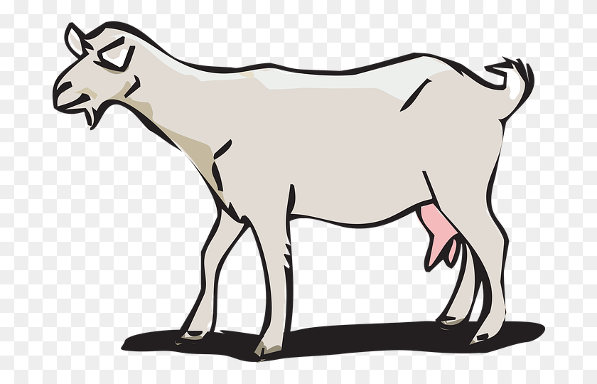 Detail Kambing Png Vector Nomer 30