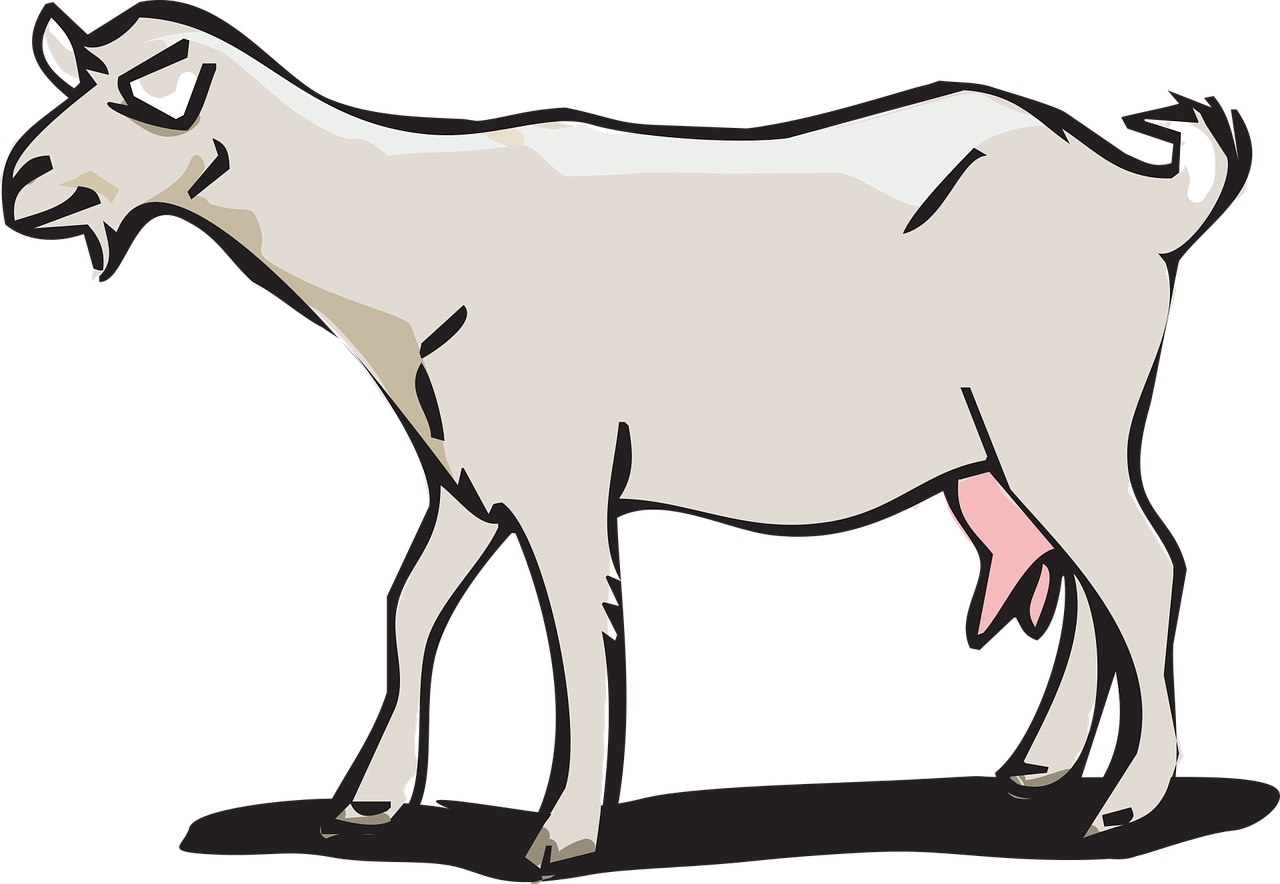 Detail Kambing Png Vector Nomer 32