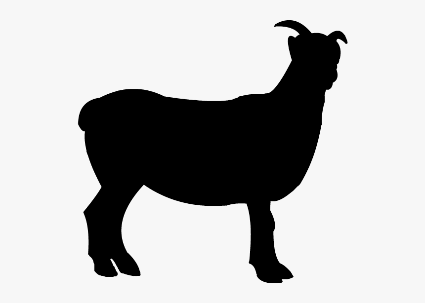 Detail Kambing Png Vector Nomer 5
