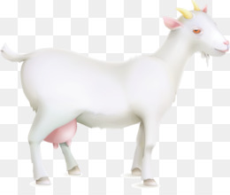 Detail Kambing Png Vector Nomer 39